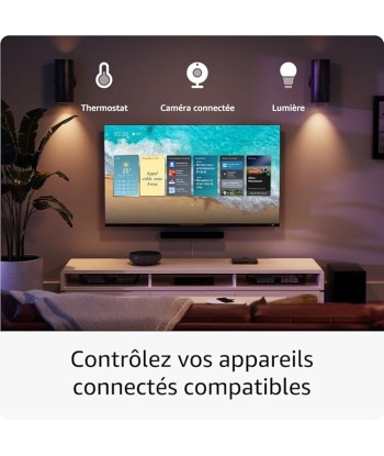 Amazon Fire TV Stick 4K Max | Appareil de streaming avec fonctionnalité Écran dynamique et prenant en charge le Wi-Fi 6E s'inspire de l'anatomie humaine